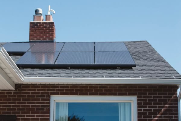 PEST CONTROL HODDESDON, Hertfordshire. Services: Solar Panel Bird Proofing. Protect Your Solar Panels from Avian Intruders with Local Pest Control Ltd's Specialized Bird Proofing Services in Hoddesdon